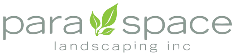 Paraspace